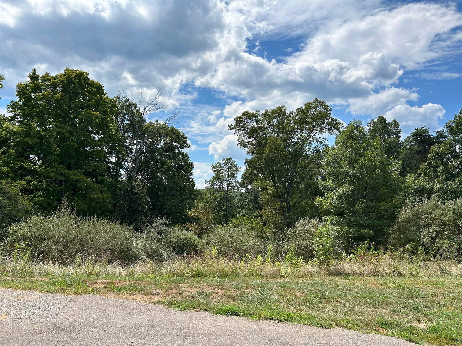 Image for SOLD $129,250 - Spacious Lots in Chrystal Estates Subdivision of Barboursville