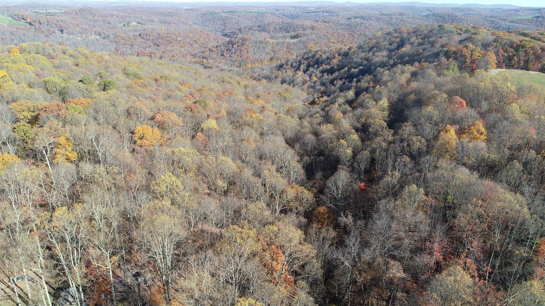 Image for SOLD $170,500 - 2 Bedroom on 22 Acres near Coopers Rock Selling to the Highest Bidder