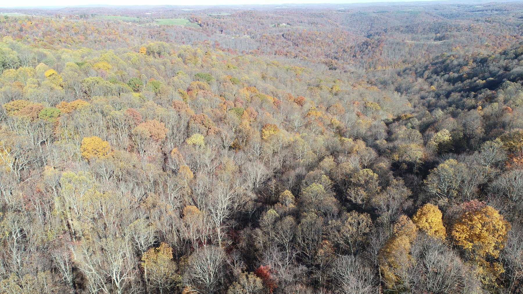 Image for SOLD $170,500 - 2 Bedroom on 22 Acres near Coopers Rock Selling to the Highest Bidder