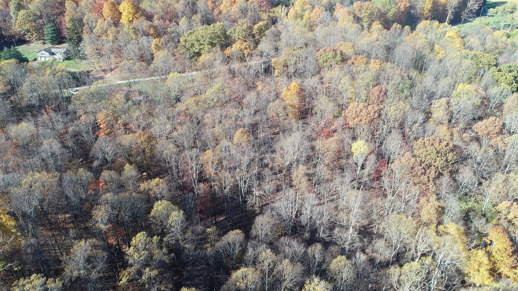 Image for SOLD $170,500 - 2 Bedroom on 22 Acres near Coopers Rock Selling to the Highest Bidder