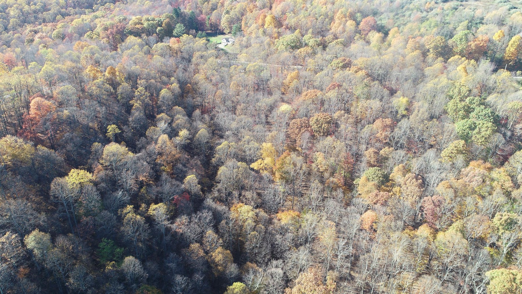 Image for SOLD $170,500 - 2 Bedroom on 22 Acres near Coopers Rock Selling to the Highest Bidder