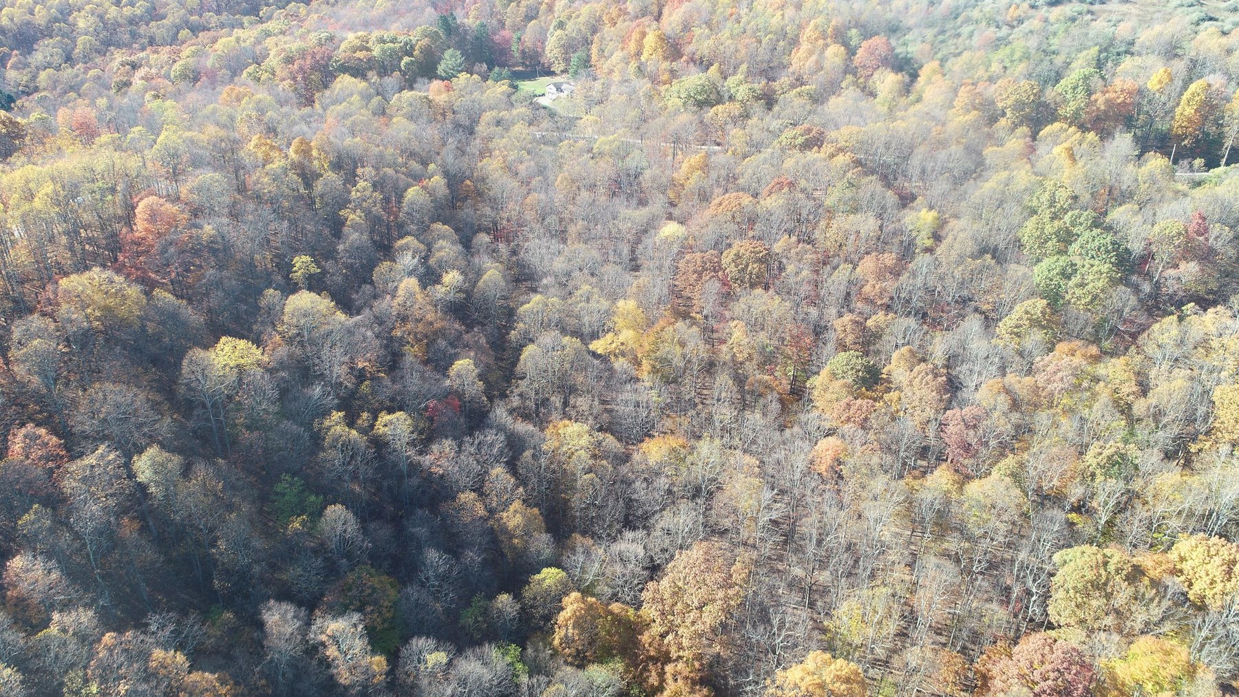 Image for SOLD $170,500 - 2 Bedroom on 22 Acres near Coopers Rock Selling to the Highest Bidder