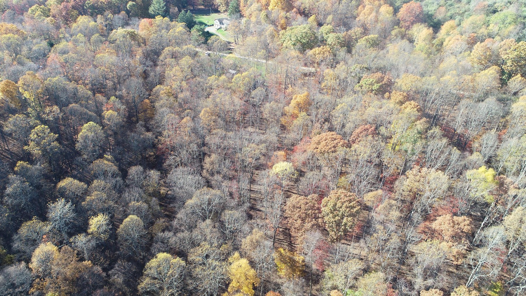 Image for SOLD $170,500 - 2 Bedroom on 22 Acres near Coopers Rock Selling to the Highest Bidder