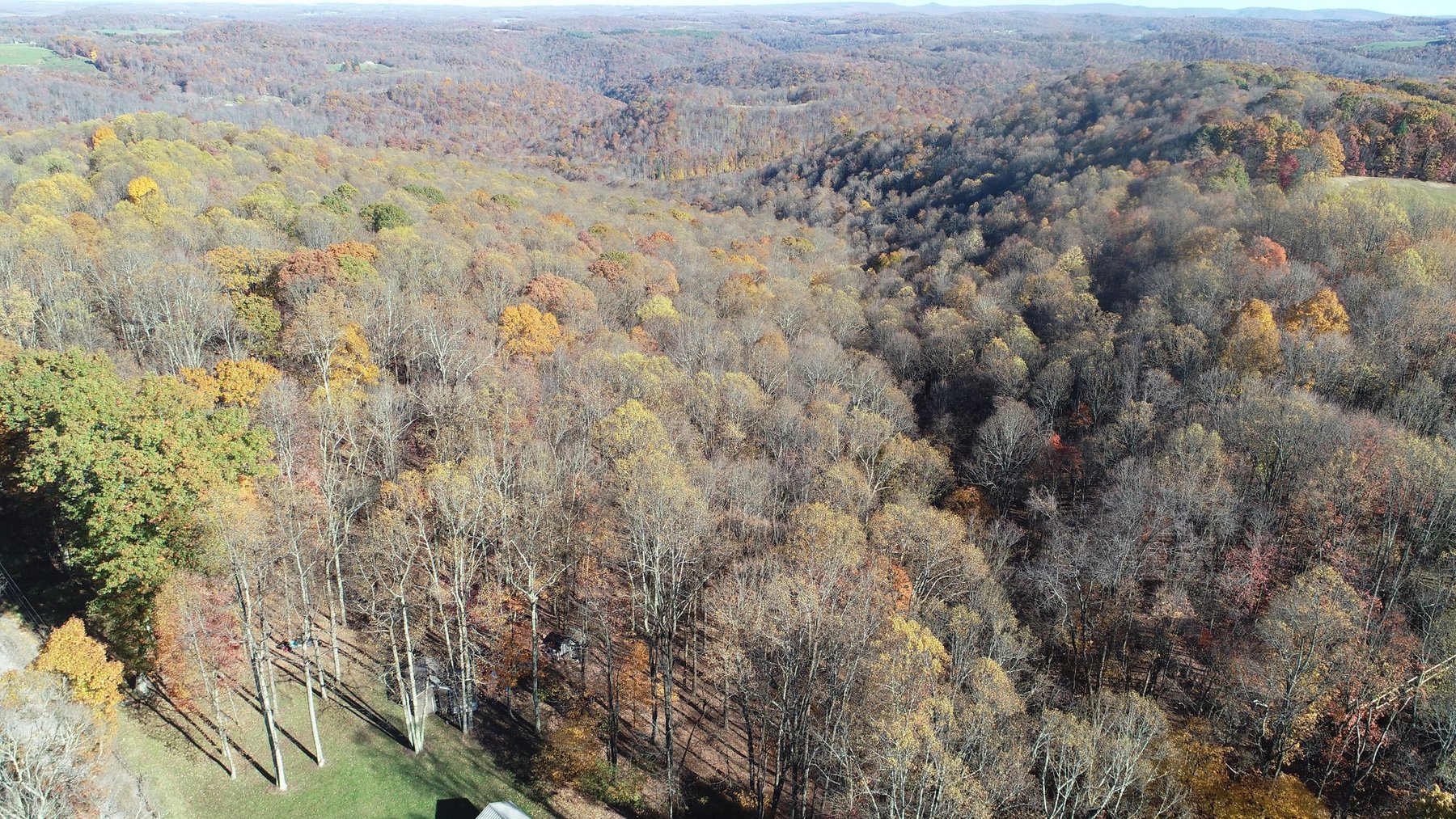 Image for SOLD $170,500 - 2 Bedroom on 22 Acres near Coopers Rock Selling to the Highest Bidder