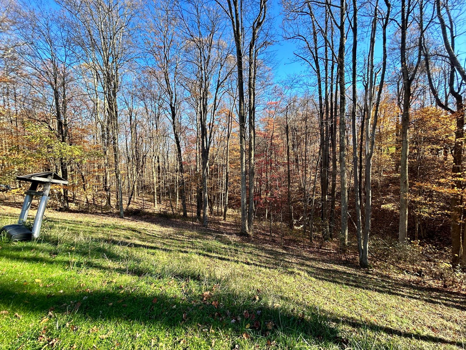 Image for SOLD $170,500 - 2 Bedroom on 22 Acres near Coopers Rock Selling to the Highest Bidder