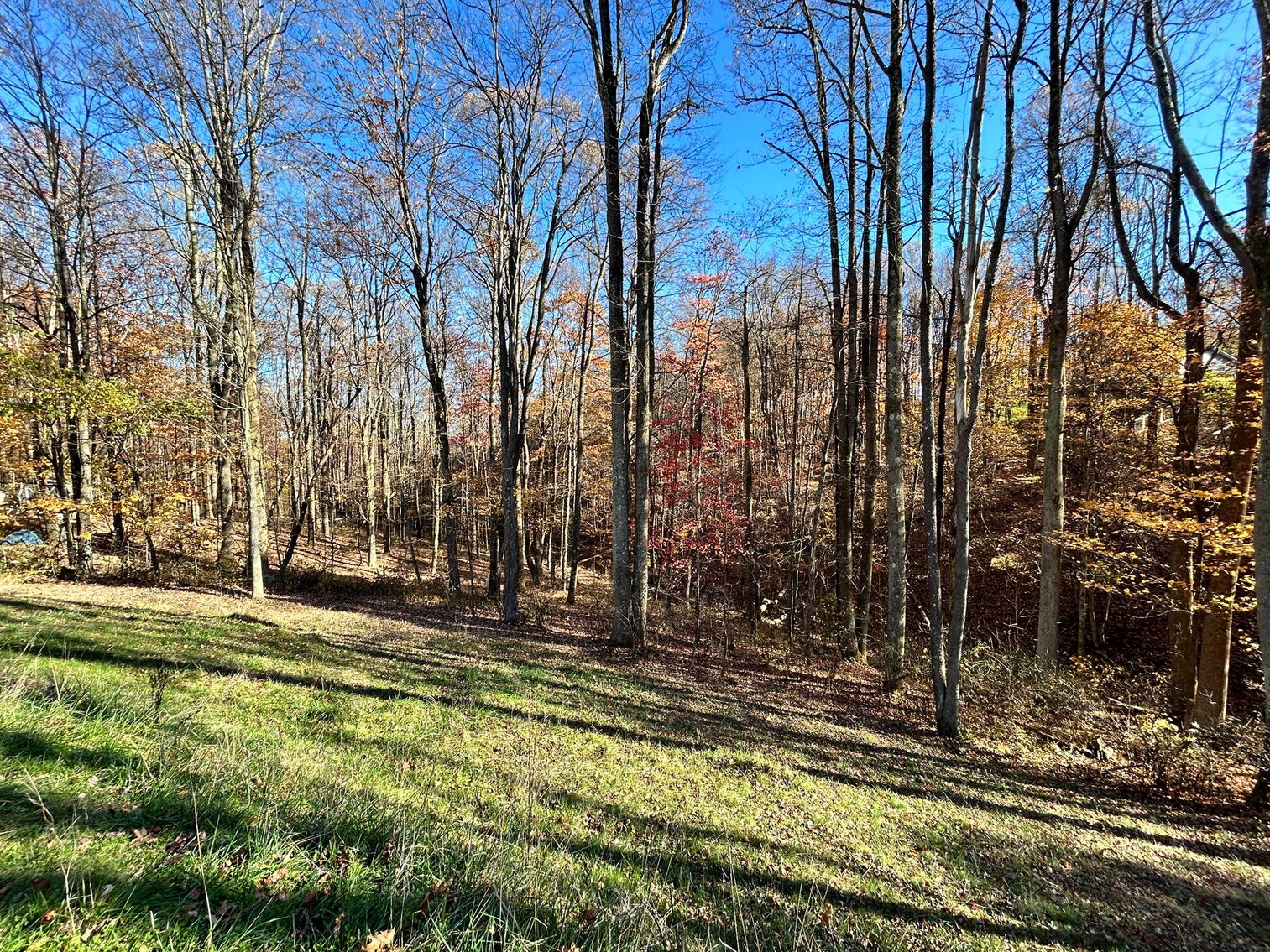 Image for SOLD $170,500 - 2 Bedroom on 22 Acres near Coopers Rock Selling to the Highest Bidder