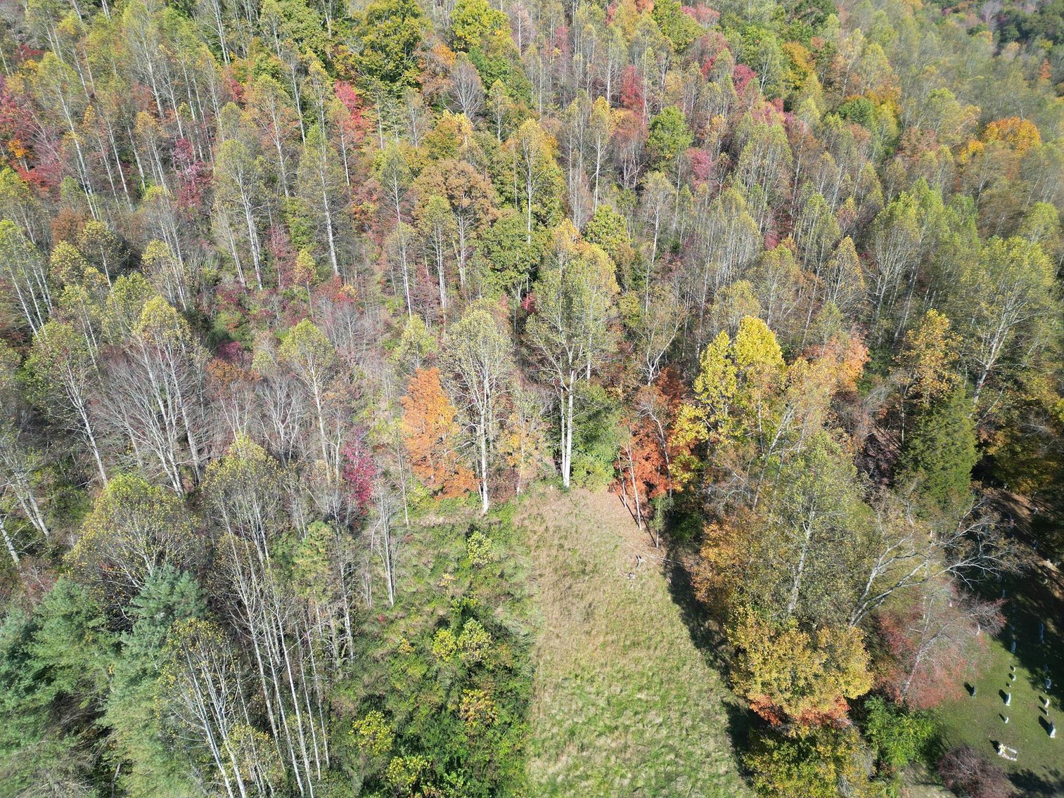 Image for SOLD $110,000 - Brick Ranch Home on Over 40 Acres in Danville