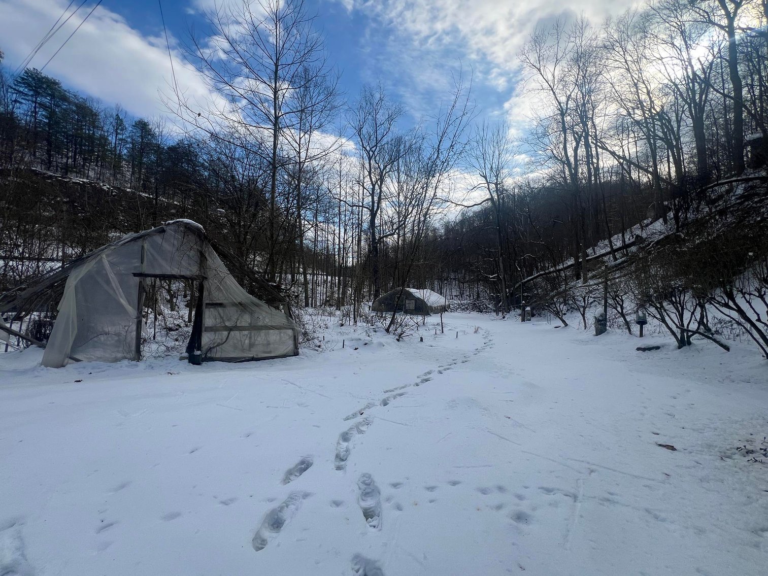 Image for SOLD $203,500 - Colonial Farmhouse on Nearly 12 Acres in Mink Shoals