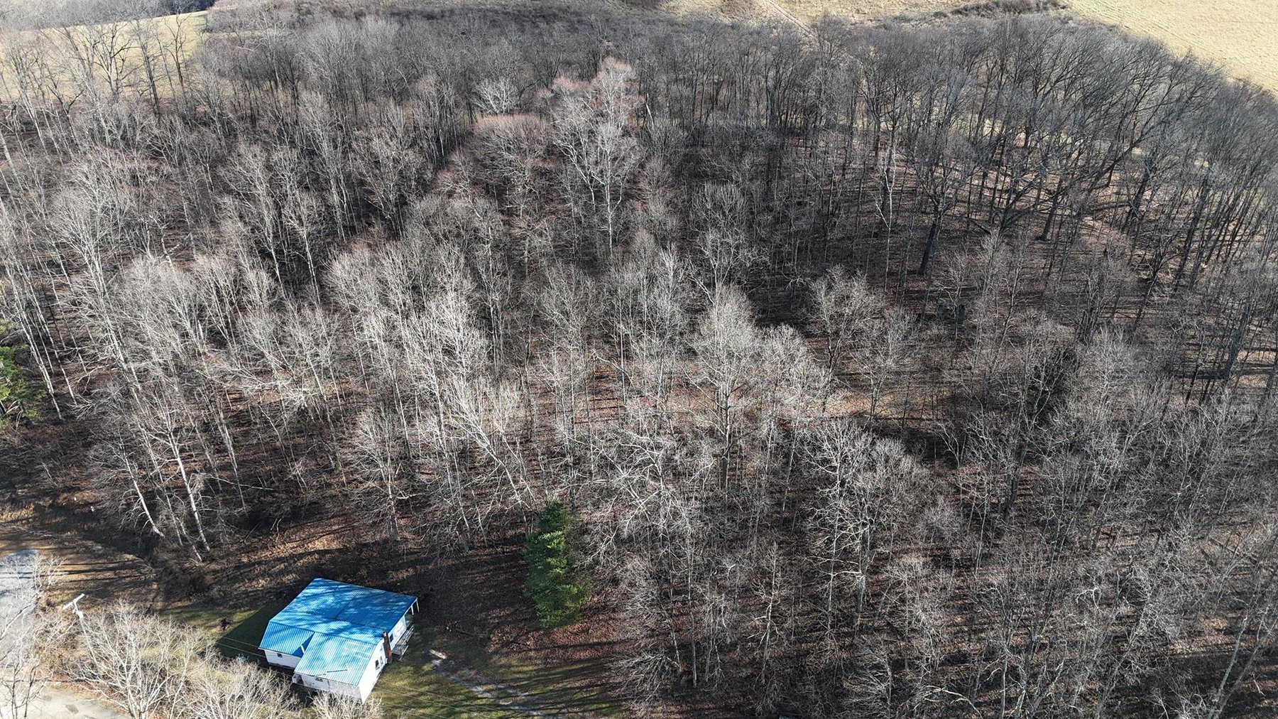 Image for SOLD $53,900 - 3 Bedroom on 5 Acres in the Paw Paw Creek Area