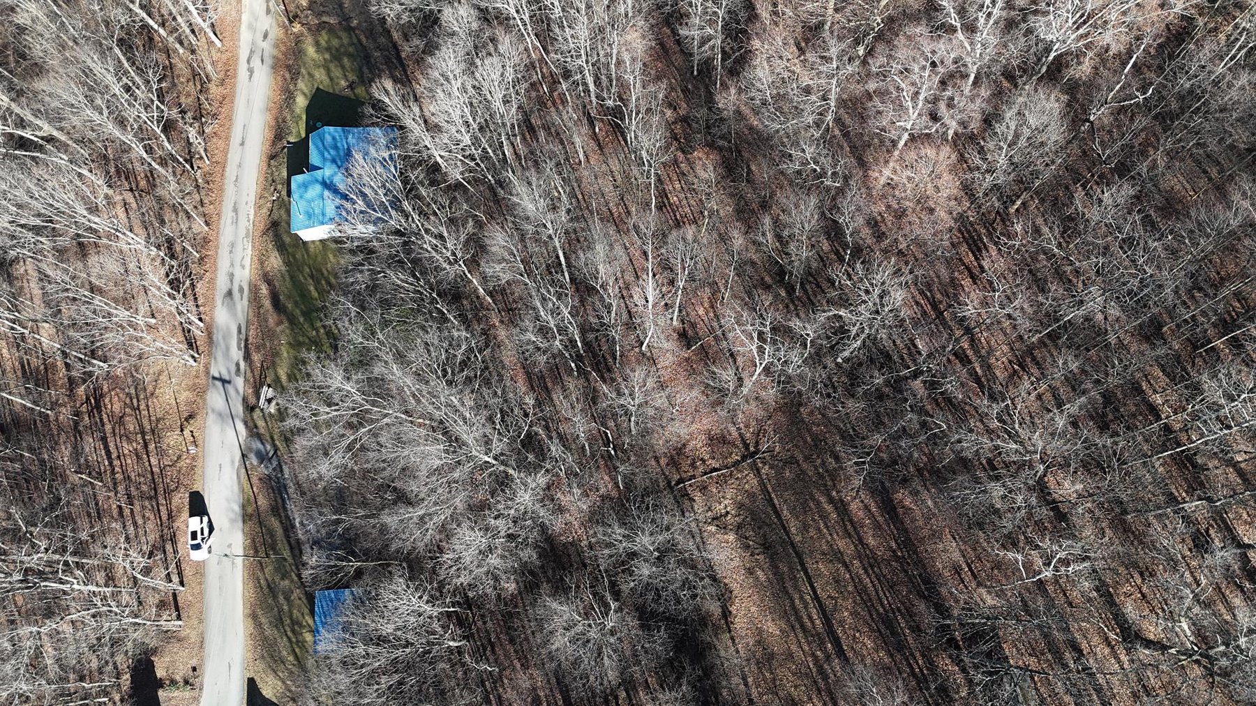 Image for SOLD $53,900 - 3 Bedroom on 5 Acres in the Paw Paw Creek Area