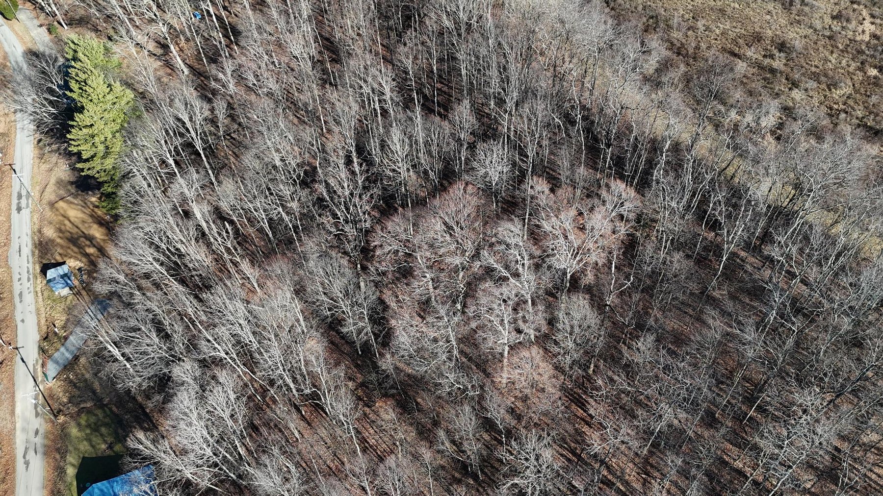 Image for SOLD $53,900 - 3 Bedroom on 5 Acres in the Paw Paw Creek Area