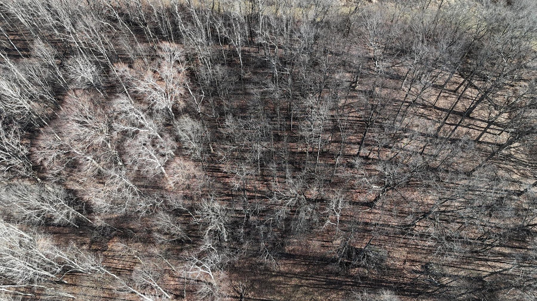 Image for SOLD $53,900 - 3 Bedroom on 5 Acres in the Paw Paw Creek Area