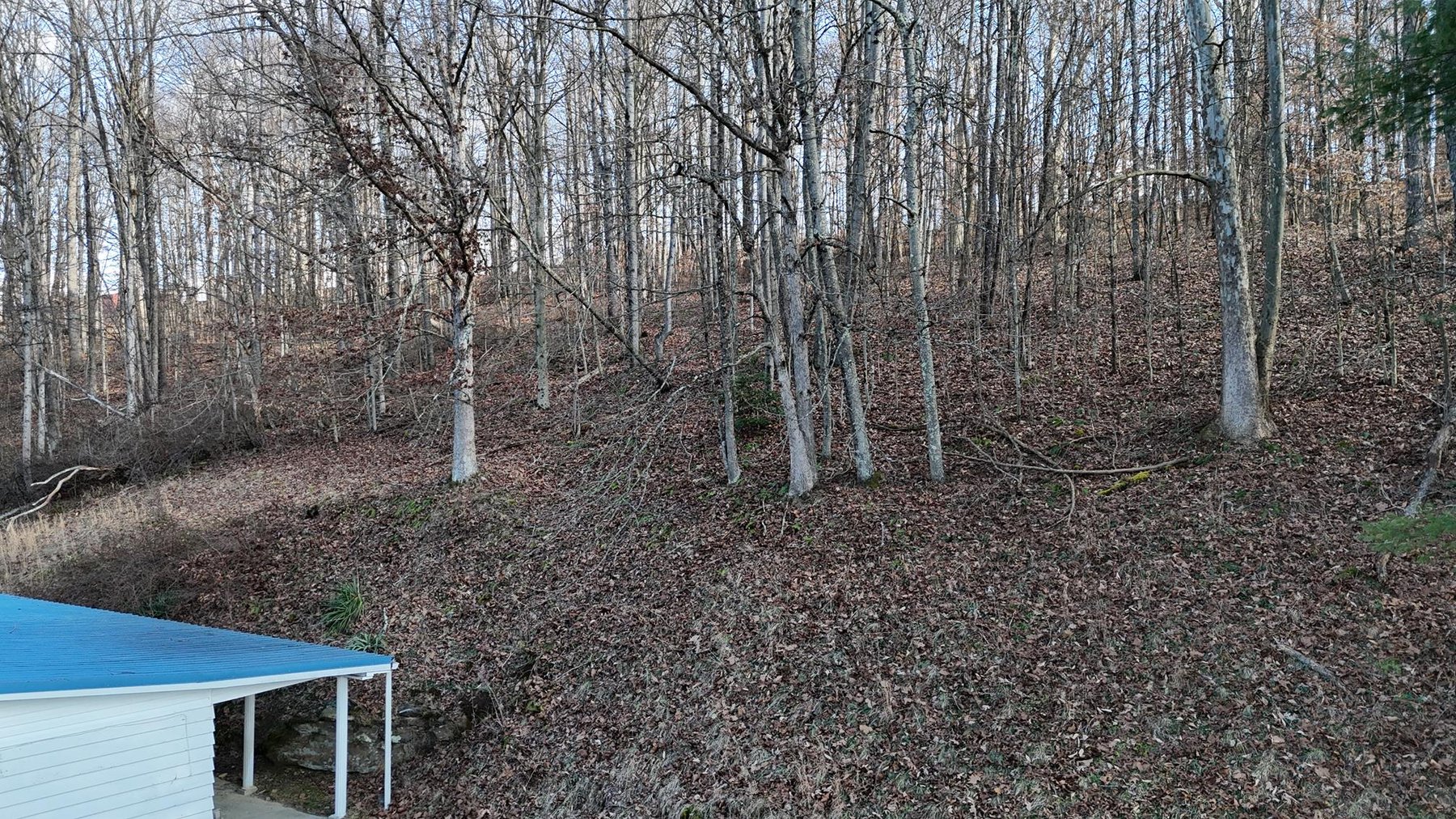 Image for SOLD $53,900 - 3 Bedroom on 5 Acres in the Paw Paw Creek Area