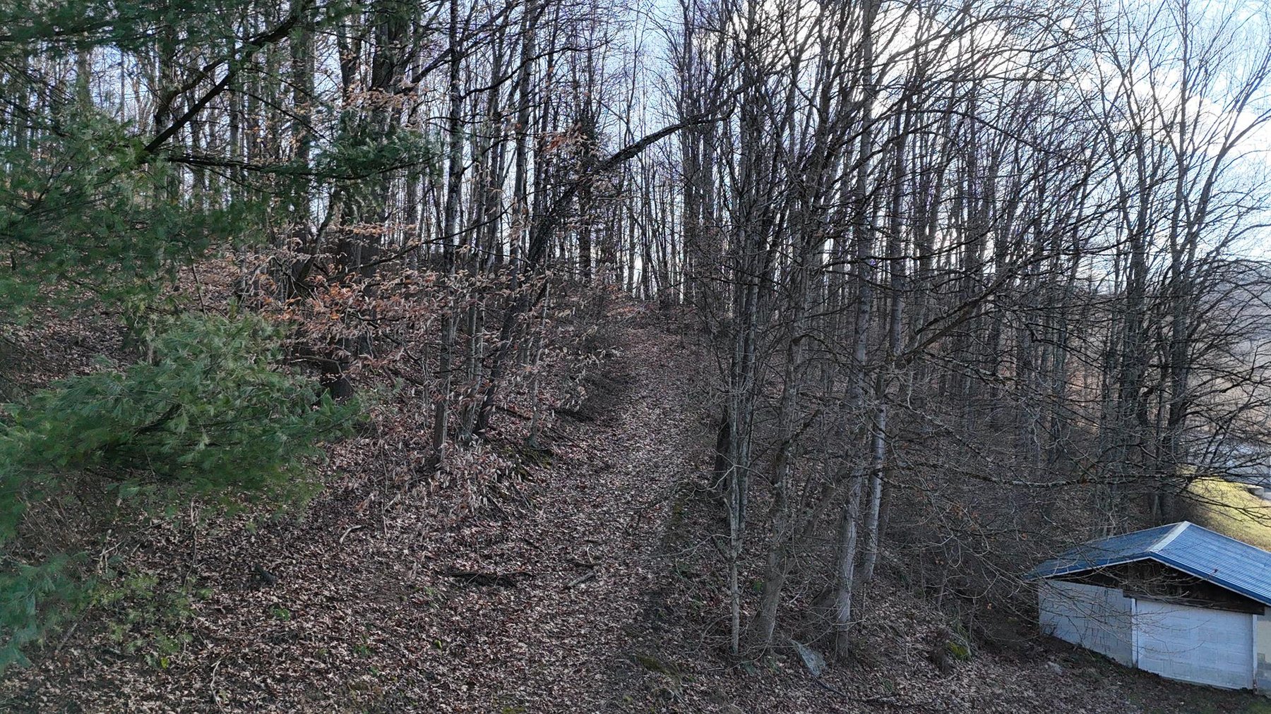 Image for SOLD $53,900 - 3 Bedroom on 5 Acres in the Paw Paw Creek Area