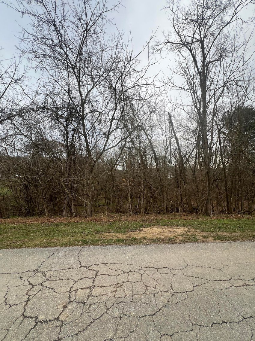 Image for SOLD - 2 Acres in Ravenswood Selling to the Highest Bidder