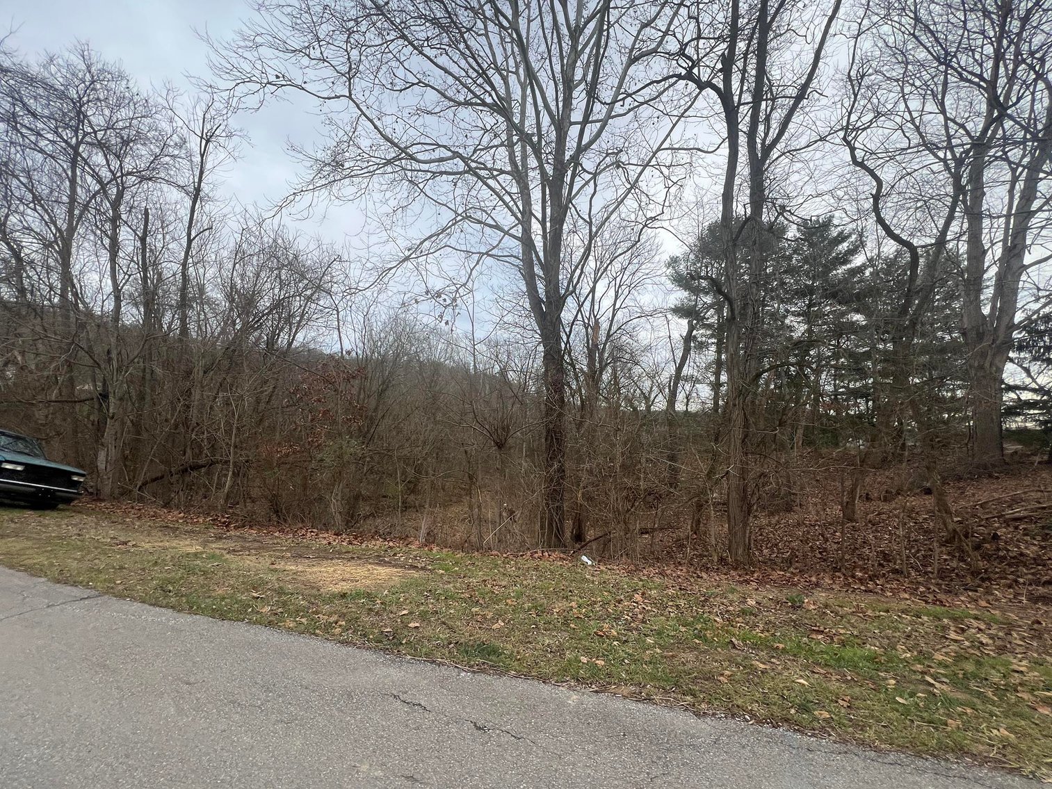 Image for SOLD - 2 Acres in Ravenswood Selling to the Highest Bidder