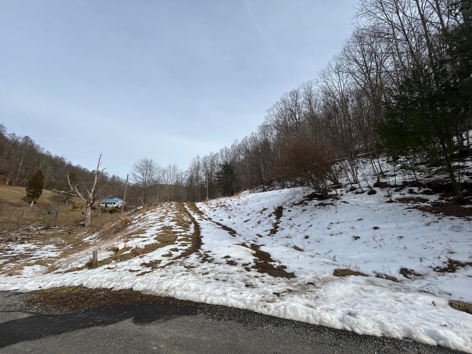 Image for SOLD $99,668 - 56 Acres with Free Gas in Braxton County