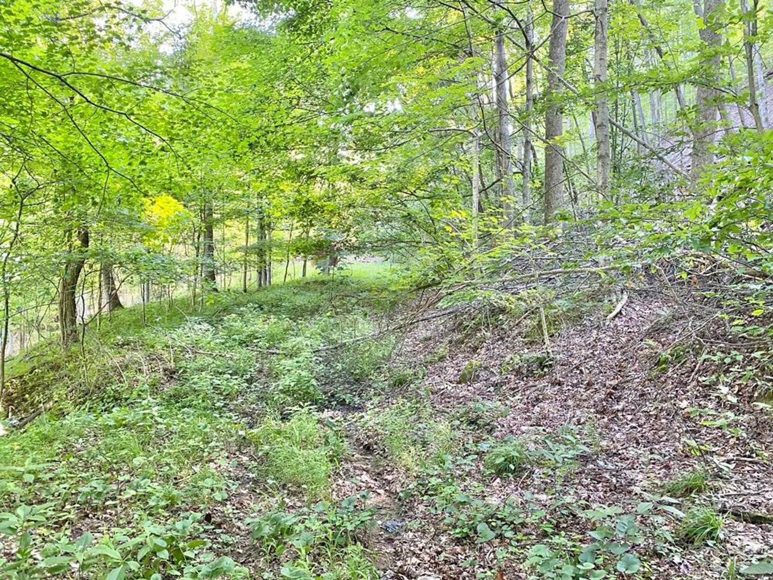 Image for SOLD $99,668 - 56 Acres with Free Gas in Braxton County