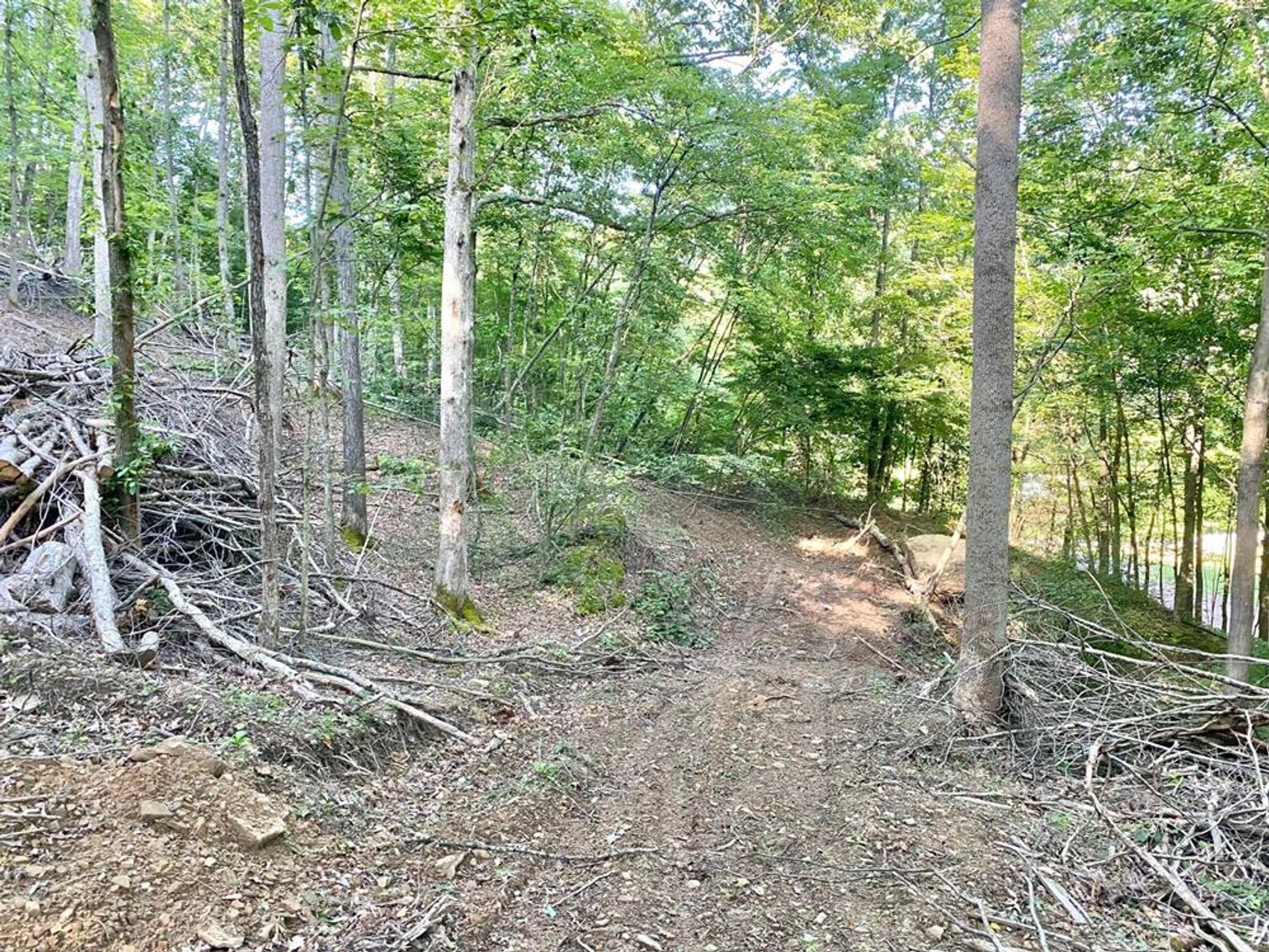 Image for SOLD $99,668 - 56 Acres with Free Gas in Braxton County