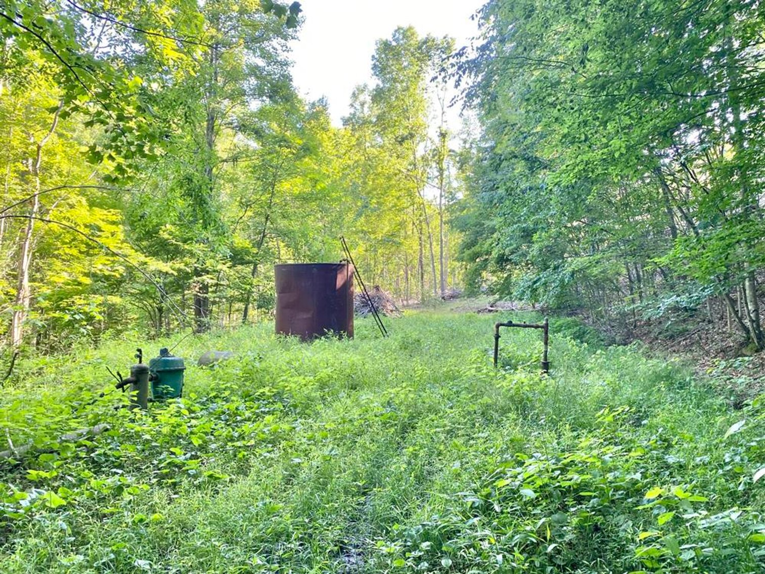 Image for SOLD $99,668 - 56 Acres with Free Gas in Braxton County