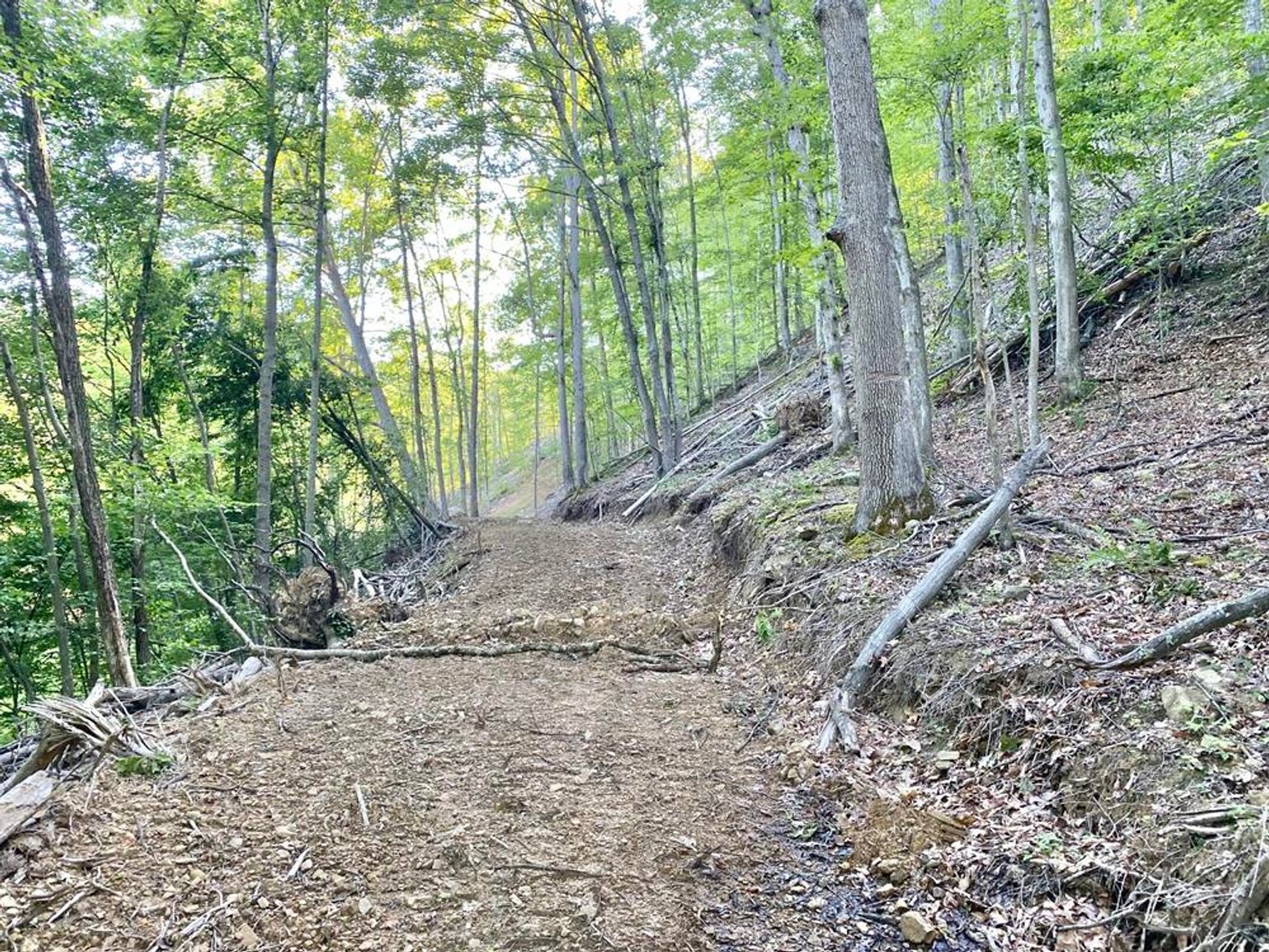 Image for SOLD $99,668 - 56 Acres with Free Gas in Braxton County