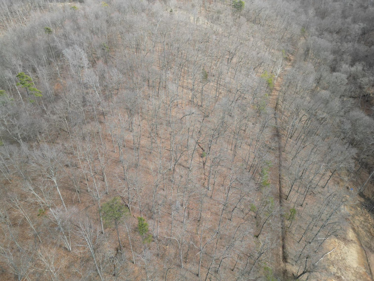 Image for SOLD $165, 000 - 18.69 Acres of Prime Land in Winfield