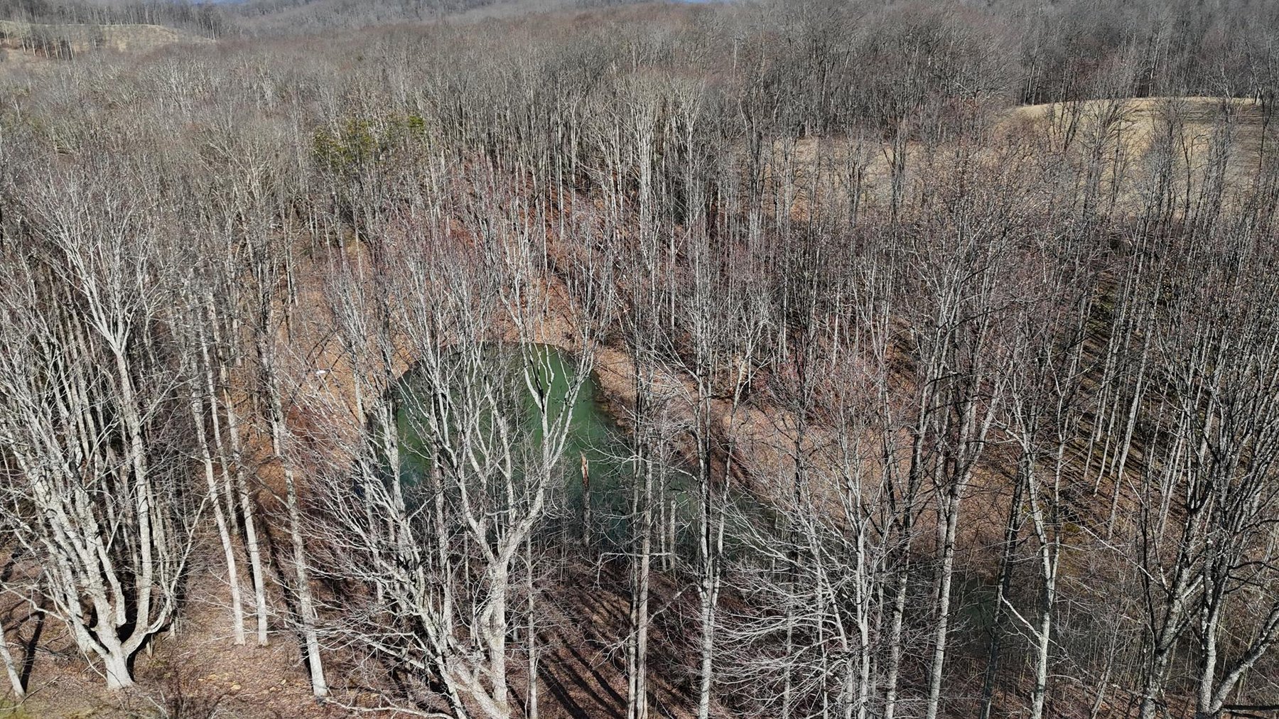 Image for SOLD $231, 000 - 3 Bedroom Cape Cod on 9 Acres in Buckhannon