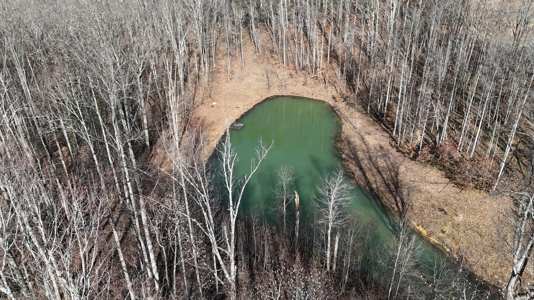 Image for SOLD $231, 000 - 3 Bedroom Cape Cod on 9 Acres in Buckhannon