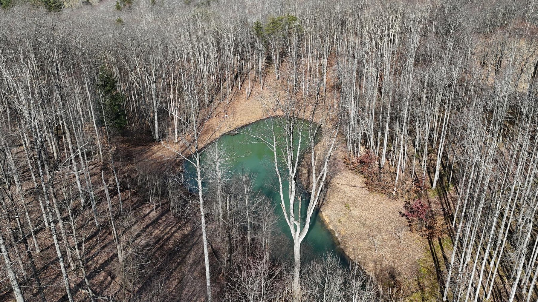 Image for SOLD $231, 000 - 3 Bedroom Cape Cod on 9 Acres in Buckhannon