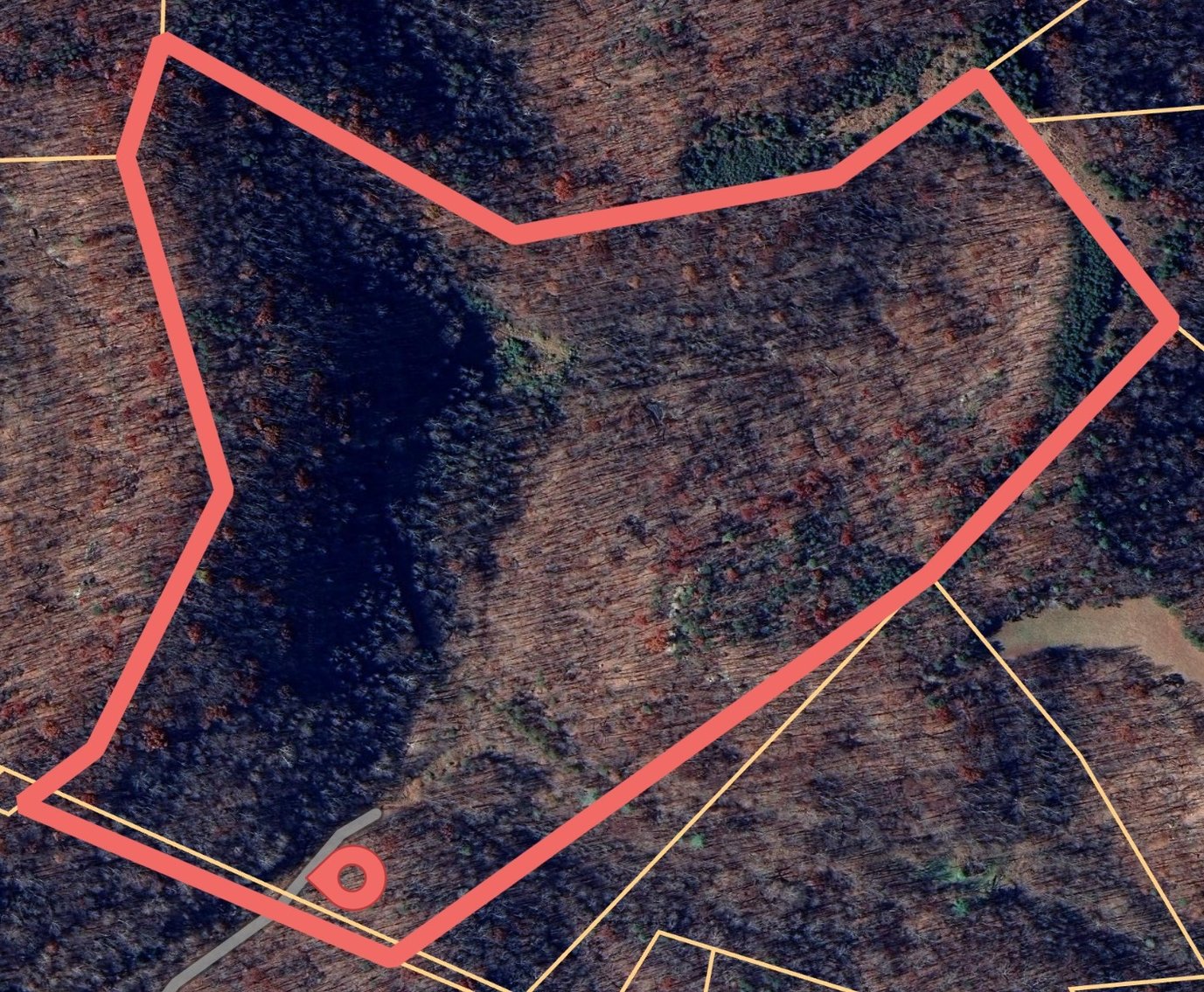 Image for SOLD $81,400 - 62 Acre Hunting Camp in Jackson Co. Selling to the Highest Bidder