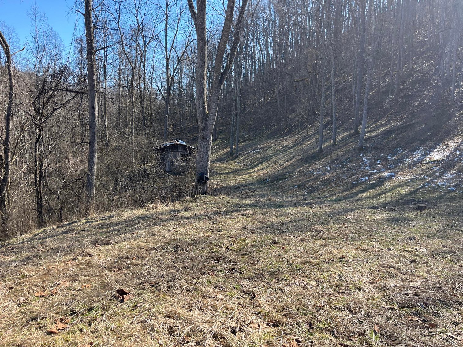 Image for SOLD $81,400 - 62 Acre Hunting Camp in Jackson Co. Selling to the Highest Bidder