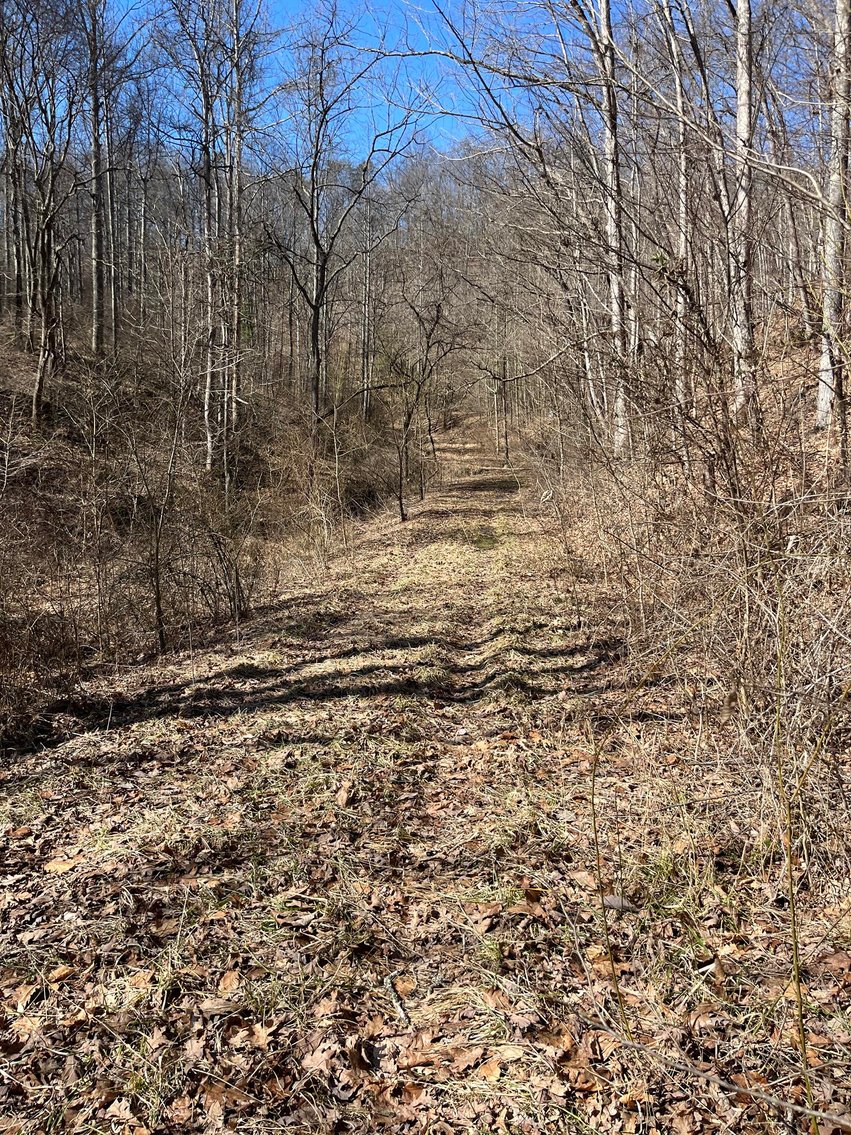 Image for SOLD $81,400 - 62 Acre Hunting Camp in Jackson Co. Selling to the Highest Bidder