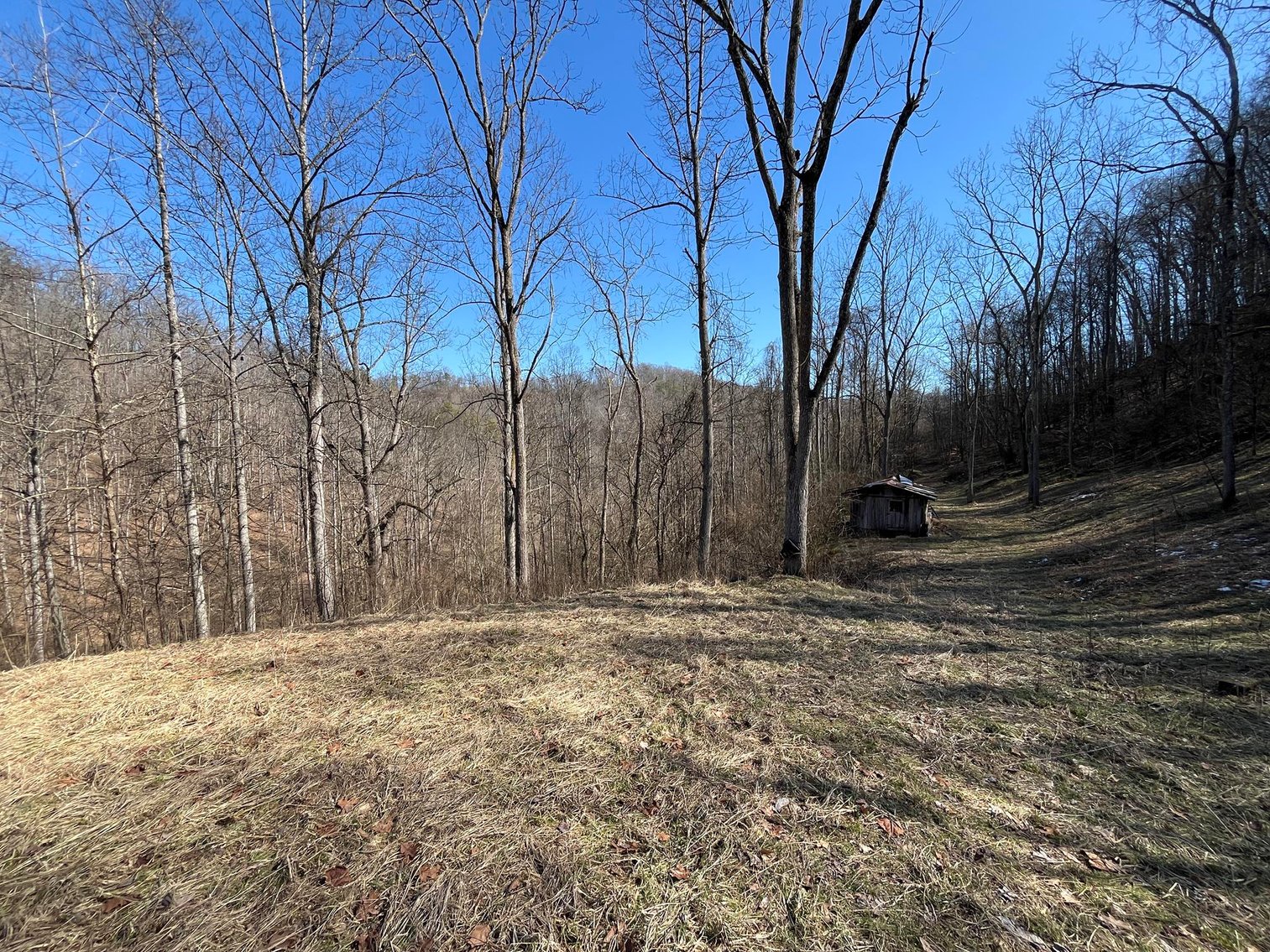 Image for SOLD $81,400 - 62 Acre Hunting Camp in Jackson Co. Selling to the Highest Bidder