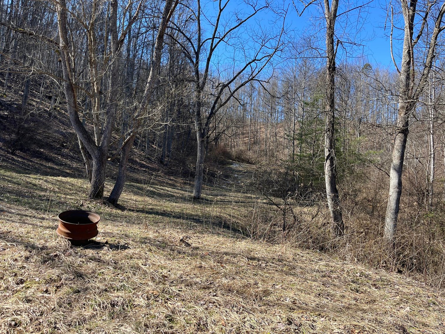 Image for SOLD $81,400 - 62 Acre Hunting Camp in Jackson Co. Selling to the Highest Bidder