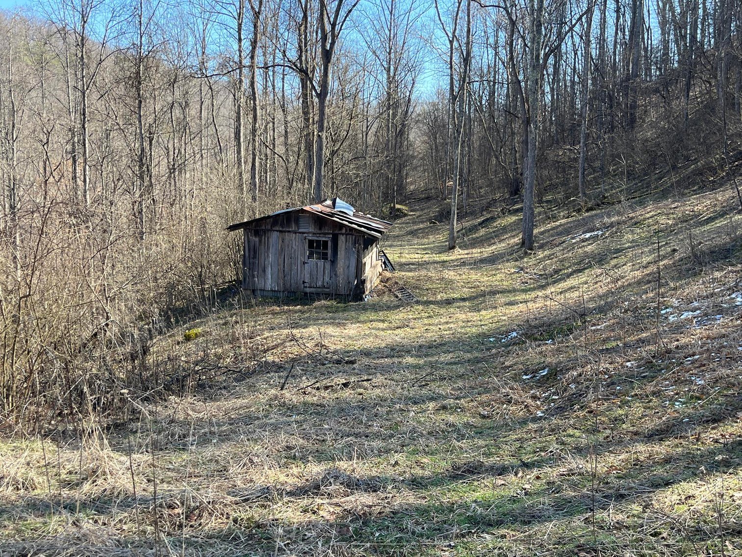 Image for SOLD $81,400 - 62 Acre Hunting Camp in Jackson Co. Selling to the Highest Bidder
