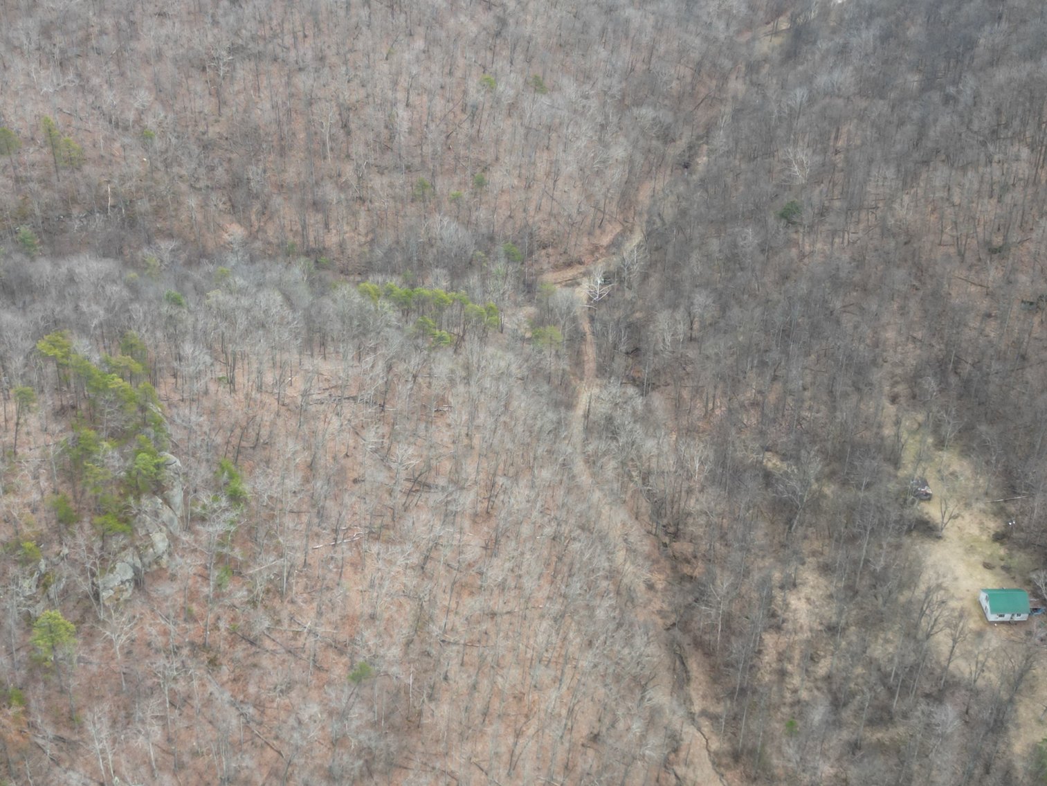 Image for SOLD $81,400 - 62 Acre Hunting Camp in Jackson Co. Selling to the Highest Bidder