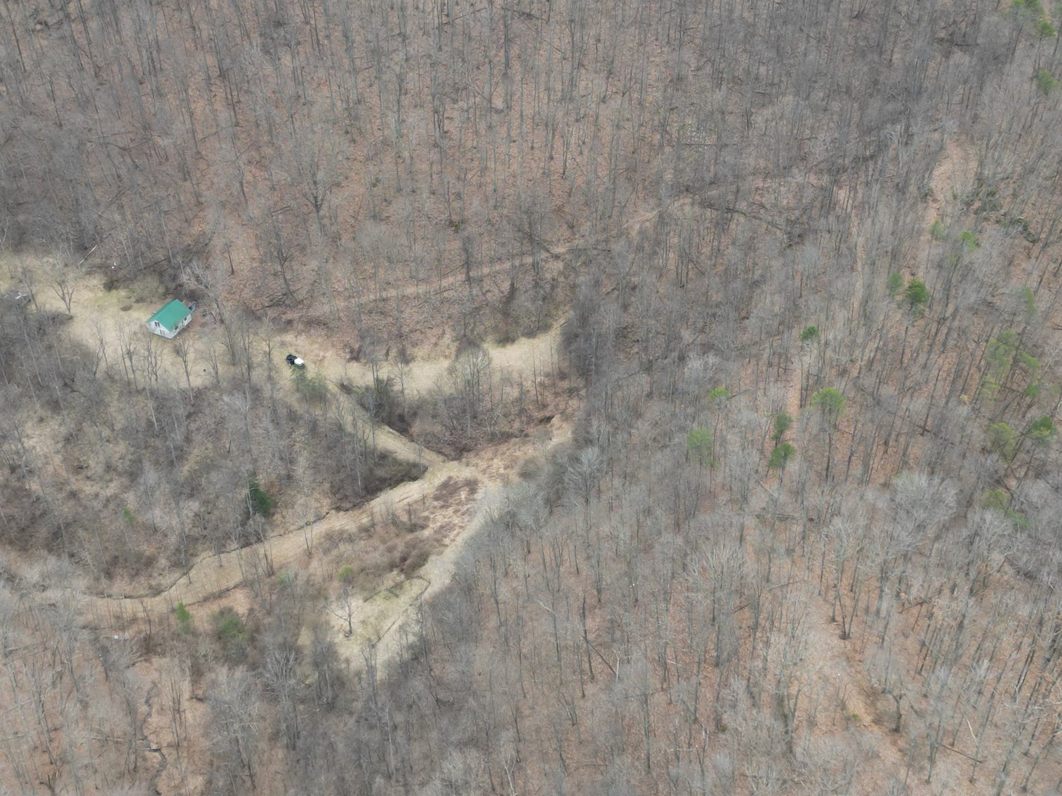 Image for SOLD $81,400 - 62 Acre Hunting Camp in Jackson Co. Selling to the Highest Bidder