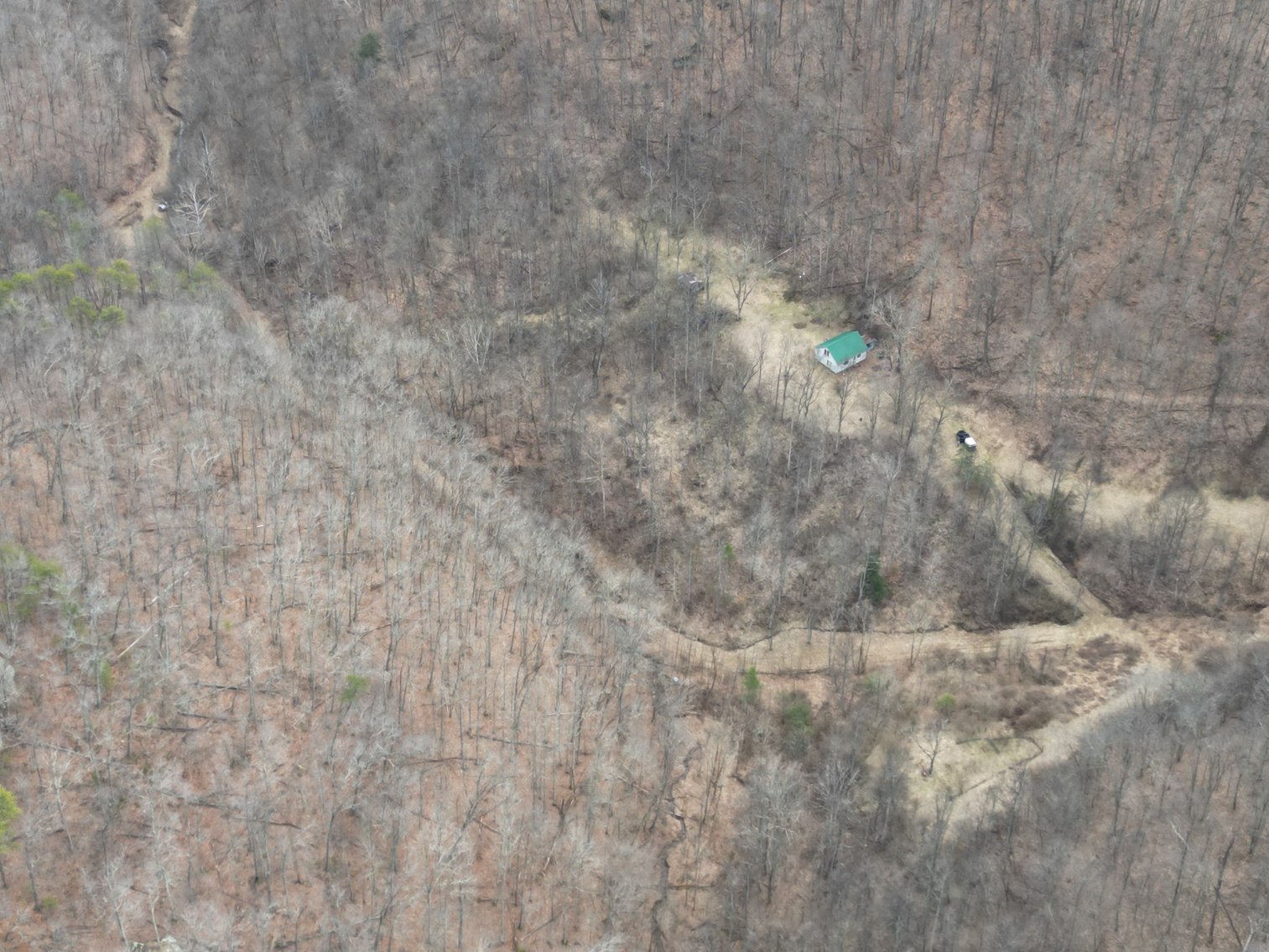 Image for SOLD $81,400 - 62 Acre Hunting Camp in Jackson Co. Selling to the Highest Bidder