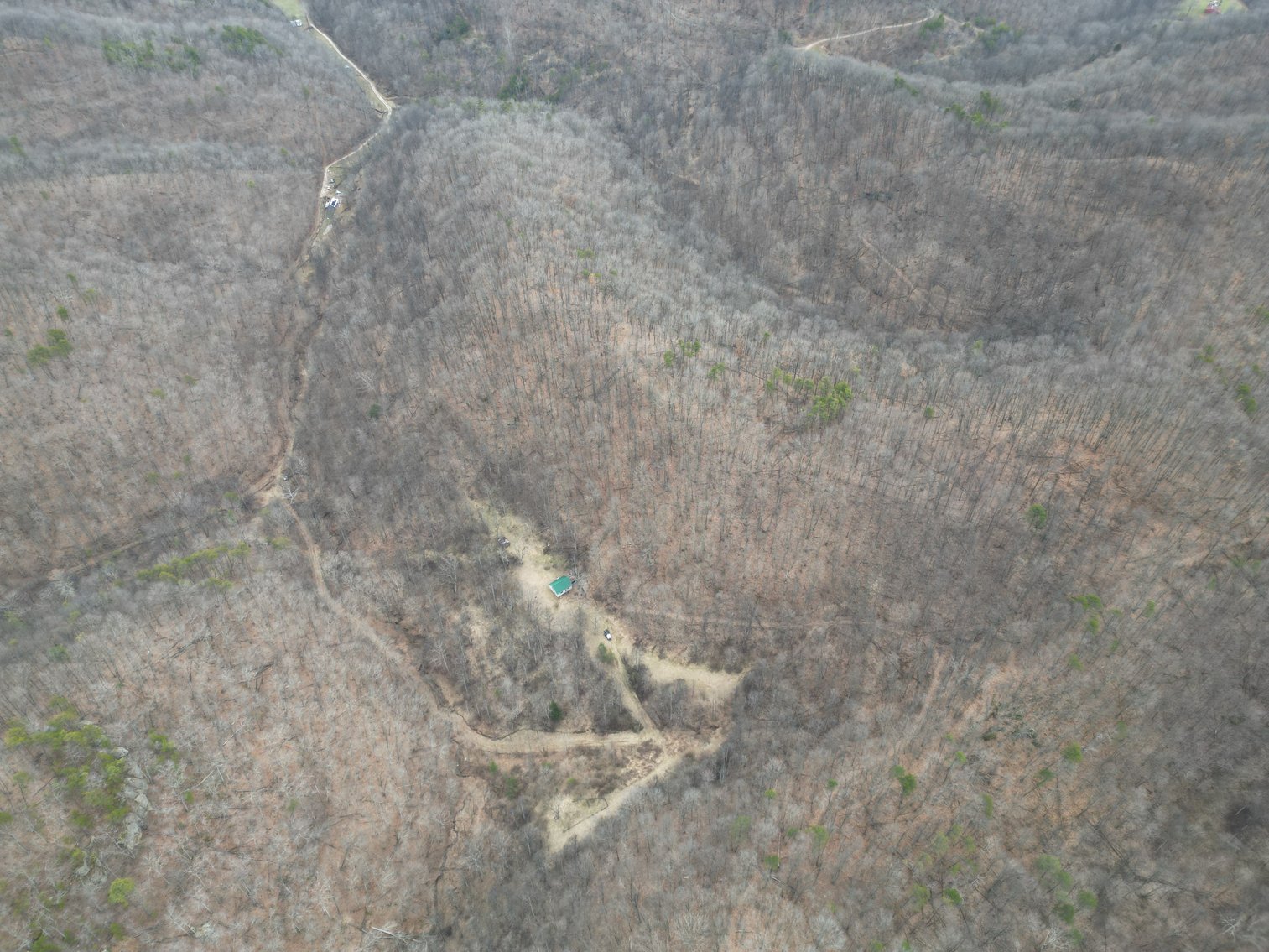 Image for SOLD $81,400 - 62 Acre Hunting Camp in Jackson Co. Selling to the Highest Bidder