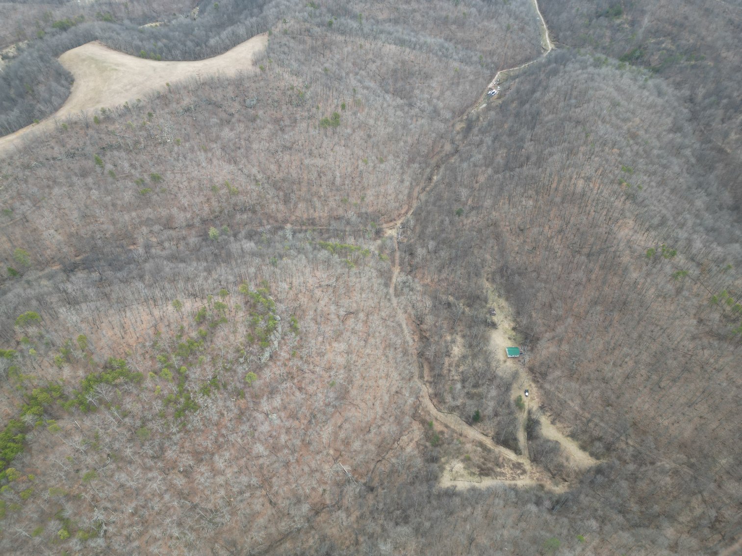 Image for SOLD $81,400 - 62 Acre Hunting Camp in Jackson Co. Selling to the Highest Bidder