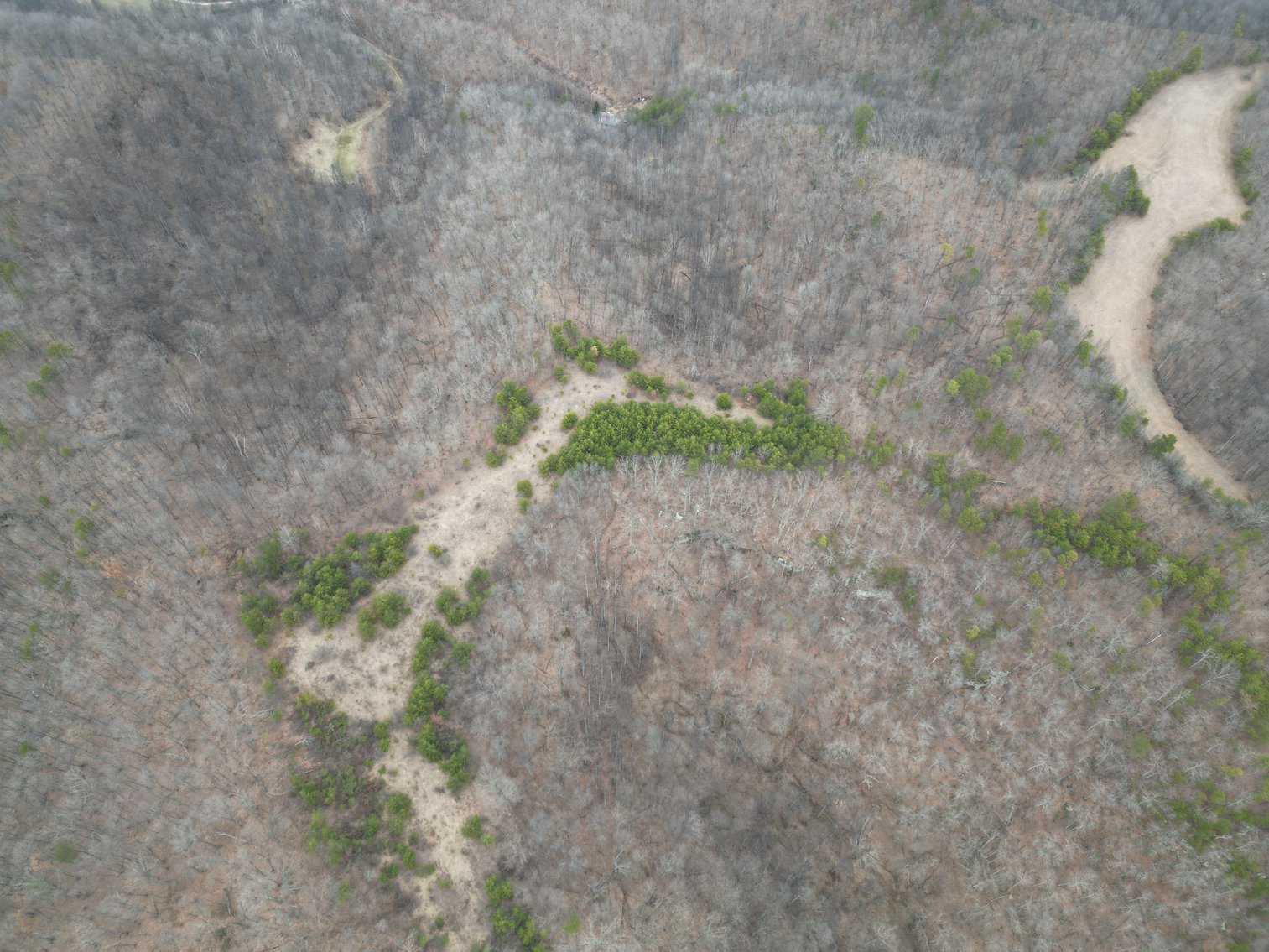 Image for SOLD $81,400 - 62 Acre Hunting Camp in Jackson Co. Selling to the Highest Bidder