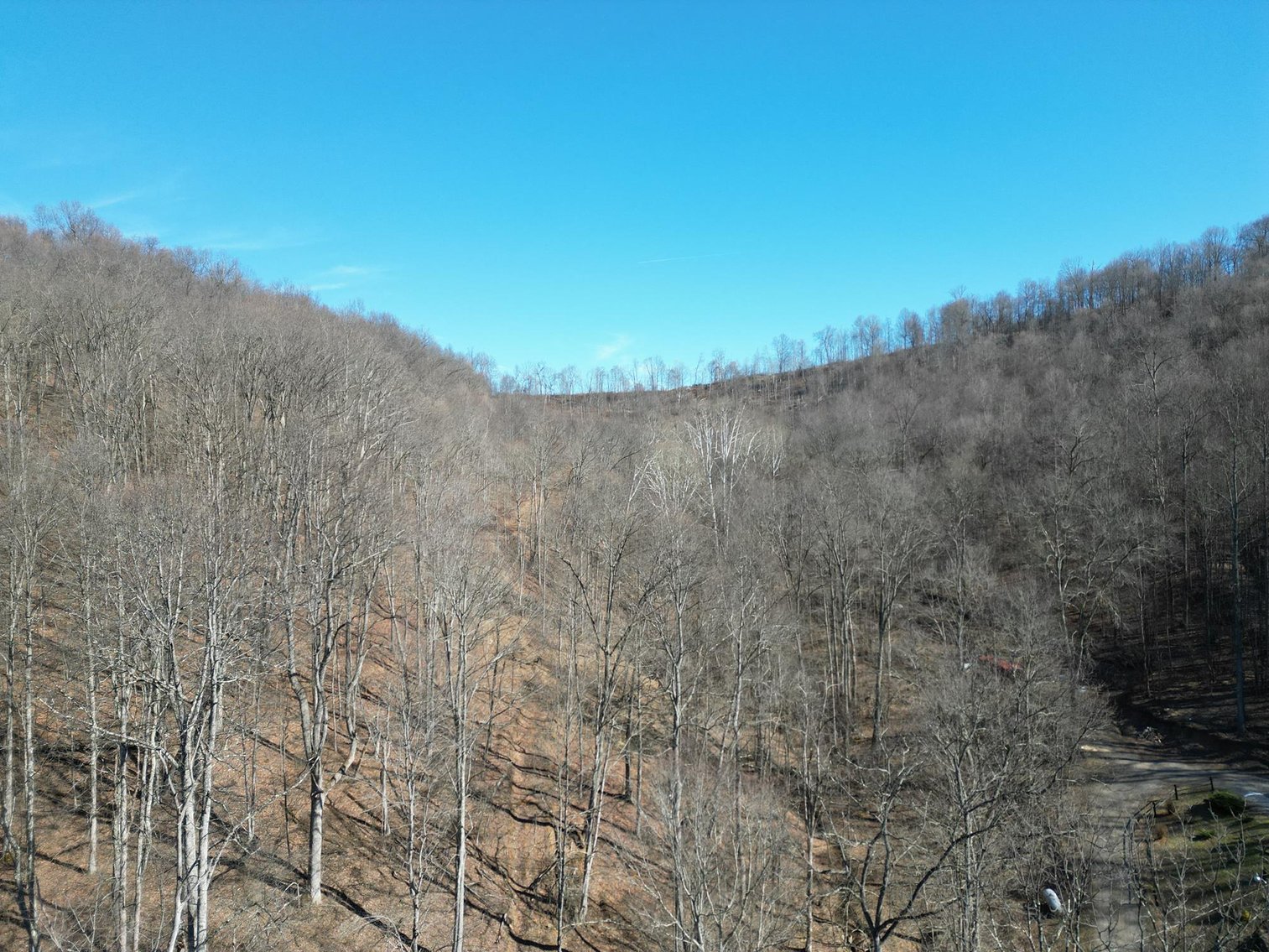 Image for SOLD $33,000 - Over 18 Acres of Wooded Land in Harrison County