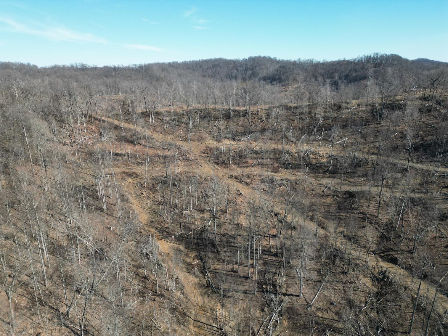 Image for SOLD $33,000 - Over 18 Acres of Wooded Land in Harrison County