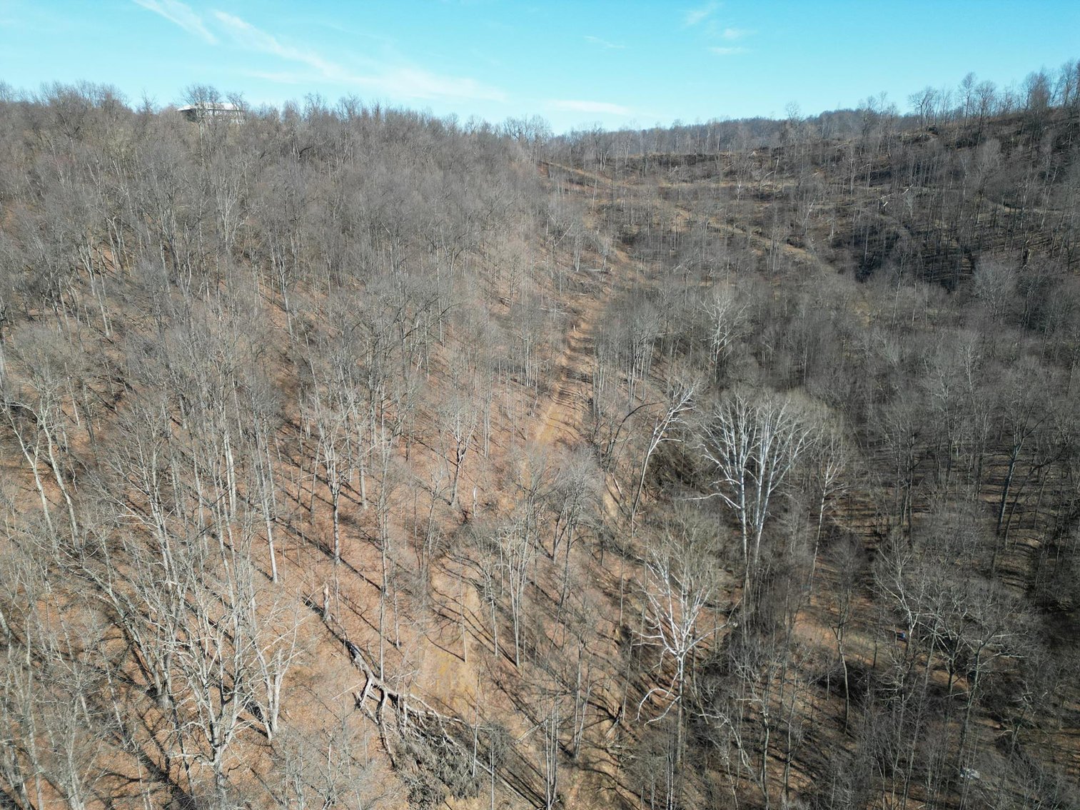 Image for SOLD $33,000 - Over 18 Acres of Wooded Land in Harrison County