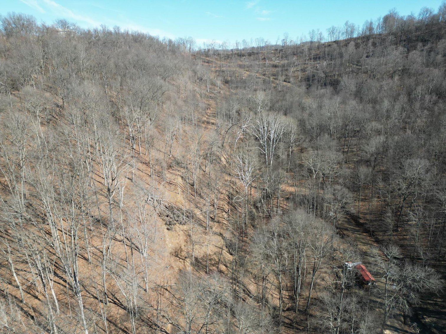 Image for SOLD $33,000 - Over 18 Acres of Wooded Land in Harrison County