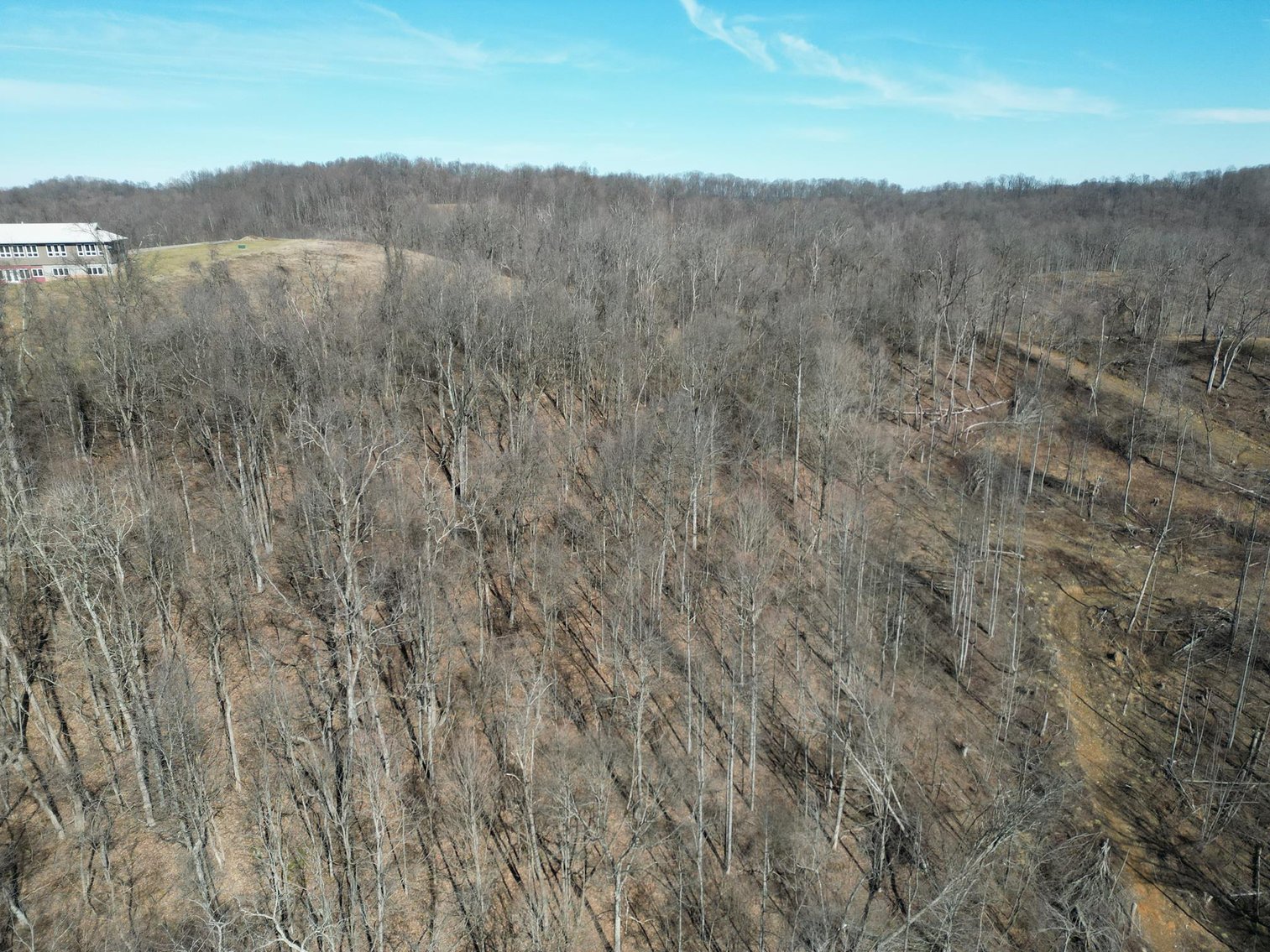 Image for SOLD $33,000 - Over 18 Acres of Wooded Land in Harrison County