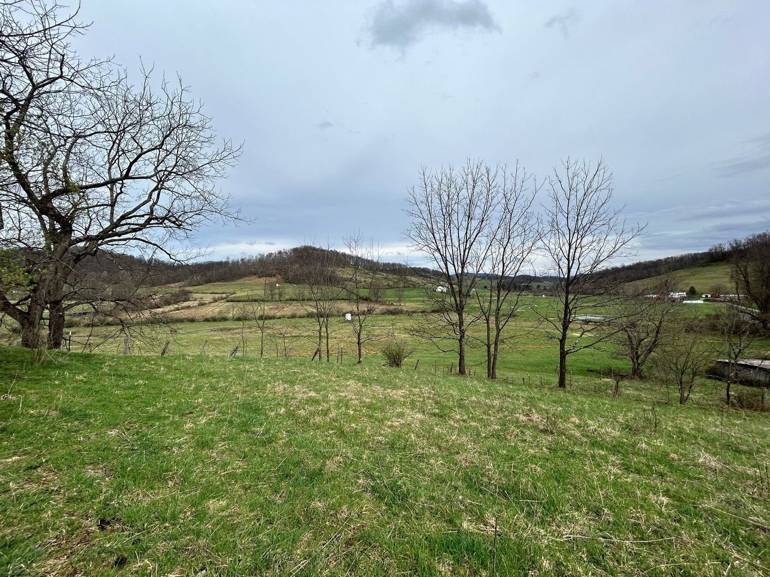 Image for SOLD $210,100 - 90 Acre Farm in Barbour County