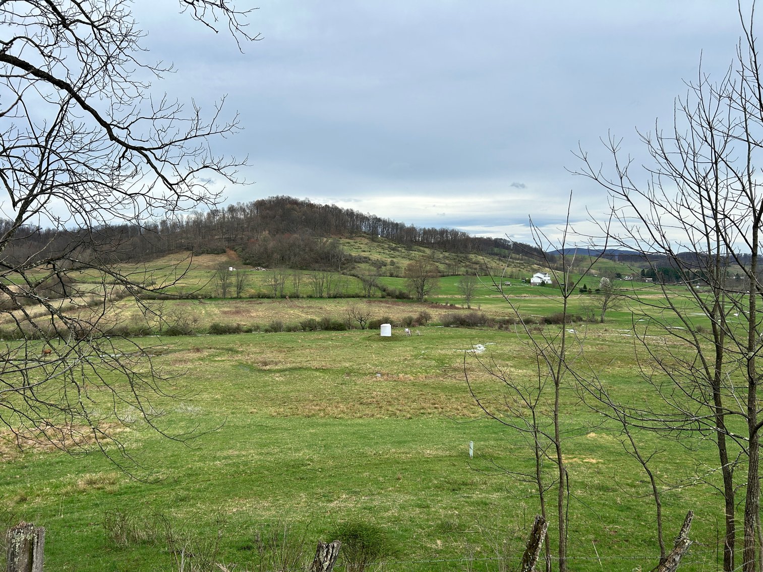 Image for SOLD $210,100 - 90 Acre Farm in Barbour County