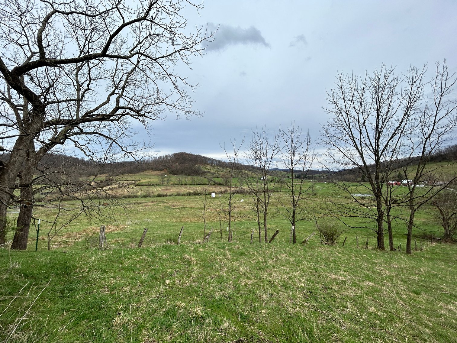 Image for SOLD $210,100 - 90 Acre Farm in Barbour County