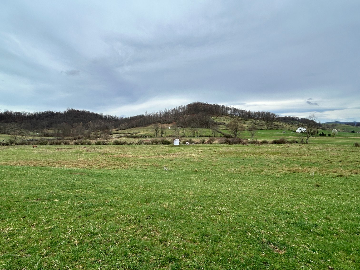 Image for SOLD $210,100 - 90 Acre Farm in Barbour County